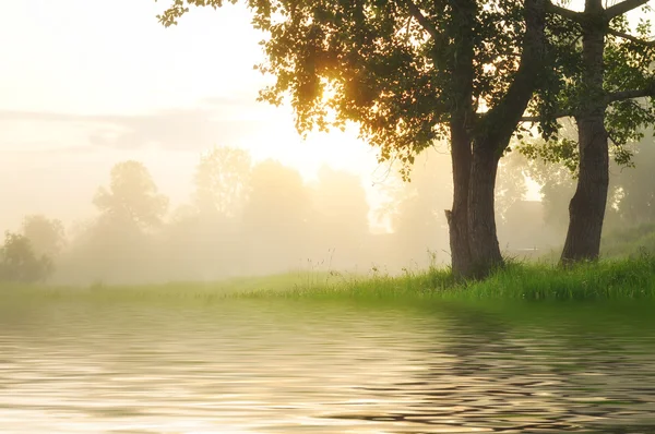 Alba nebbiosa sul fiume — Foto Stock