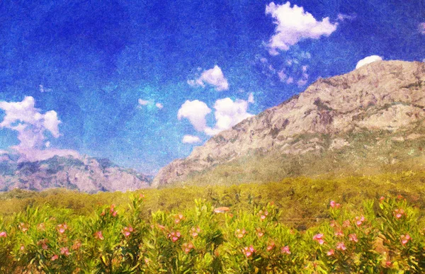 Imagem - a paisagem de verão em montanhas — Fotografia de Stock