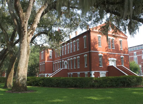 Історичній osceola будівлі суду графства, Флорида (1) — стокове фото