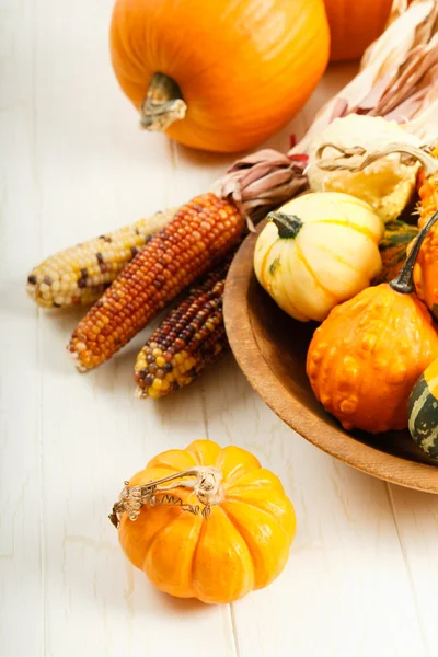 Vegetais de outono coloridos — Fotografia de Stock