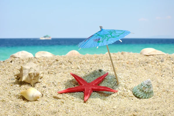 Estrella de mar bajo la sombra de la umbrela —  Fotos de Stock