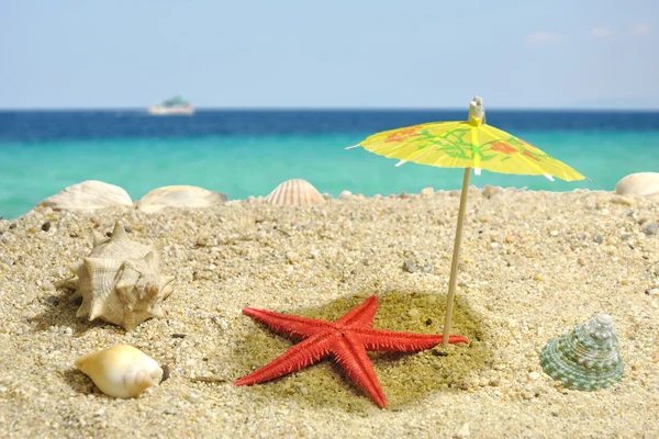 Estrella de mar bajo la sombra de la umbrela — Foto de Stock