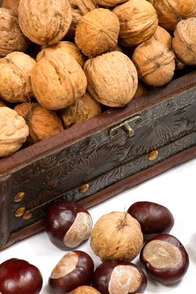 Chest with walnuts — Stock Photo, Image