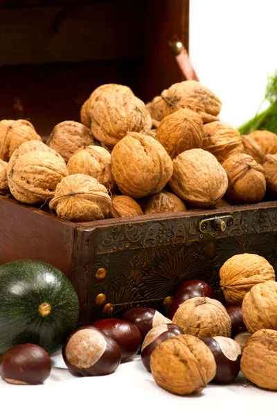 Chest with walnuts and pumpkin — Stock Photo, Image
