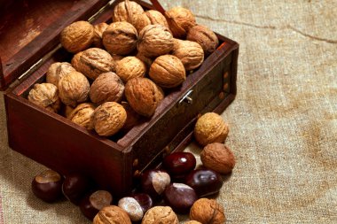 Chest with walnuts clipart