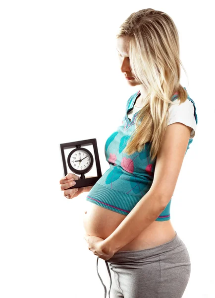 Femmina incinta — Foto Stock