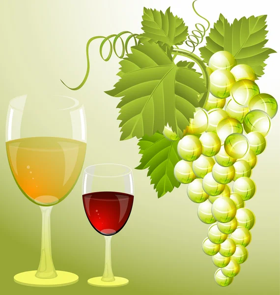 Üzüm ve şarap — Stok Vektör