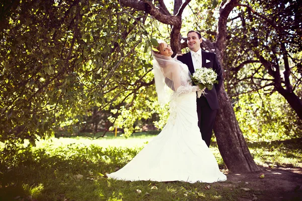 Bröllopsfotografi — Stockfoto
