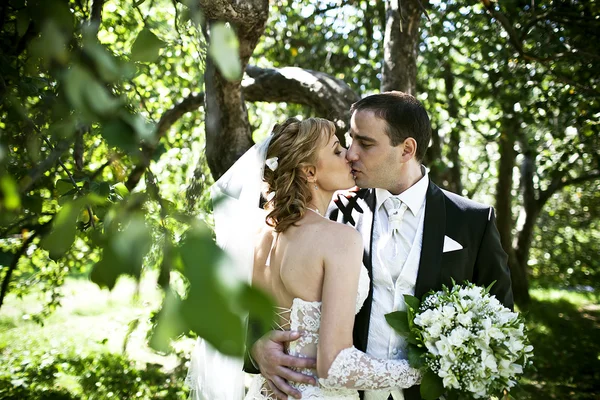 Wedding Photography — Stock Photo, Image