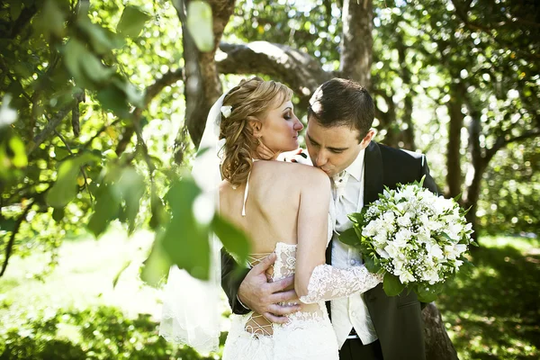 Wedding Photography — Stock Photo, Image