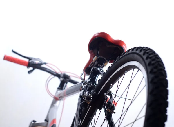 Neumático de mountain bike —  Fotos de Stock
