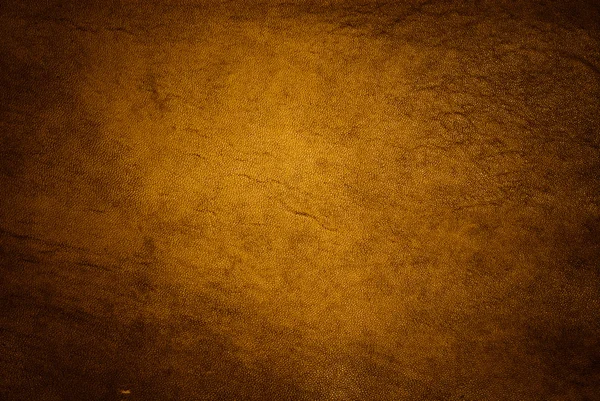 Altın deri — Stok fotoğraf