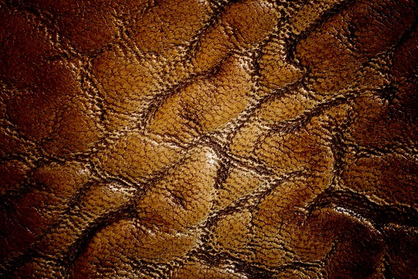 Golden leather — Stock Photo, Image