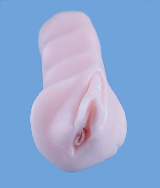 Vagina — Fotografia de Stock