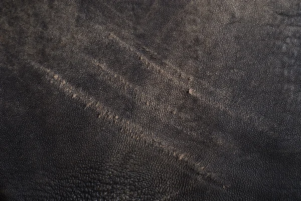 Scratched leather — Stock Photo, Image