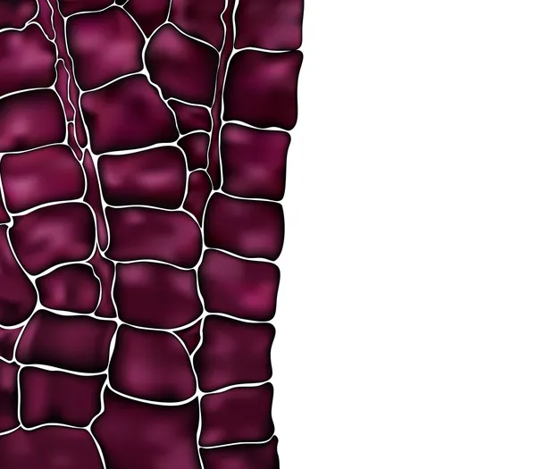 Απρόσκοπτη μοτίβο από δέρμα κροκόδειλου υφή — Διανυσματικό Αρχείο