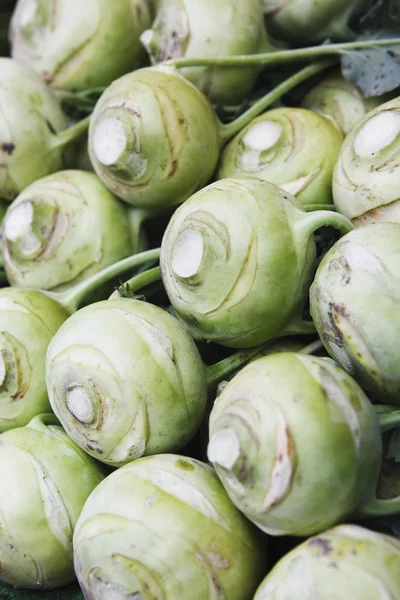 stock image Kohlrabi background