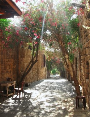 Avenue arasında duvarlar ve güneş ışığı