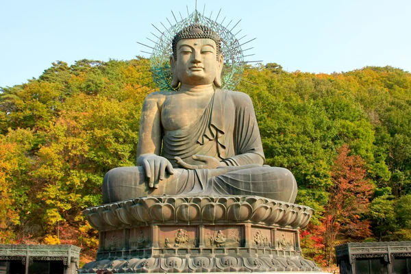 Korea Boeddha Rechtenvrije Stockfoto's