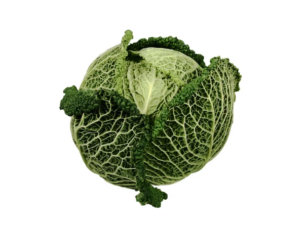 stock image Savoy Cabbage