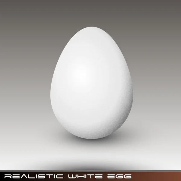 Fehér tojás — Stock Vector