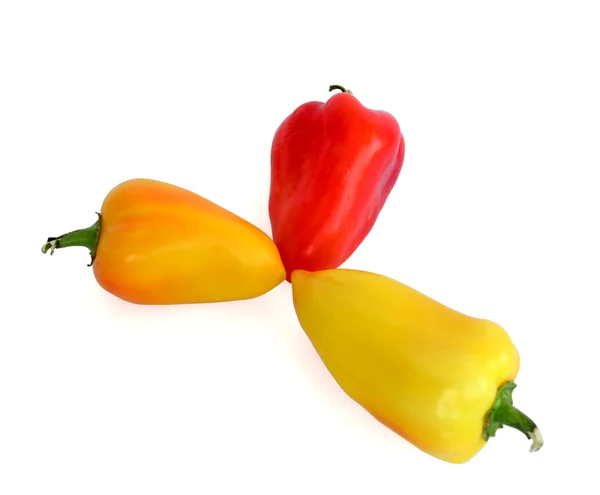 Pepper and tomato — Stok fotoğraf