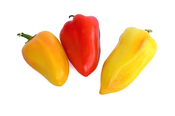 Pepper and tomato — Stok fotoğraf