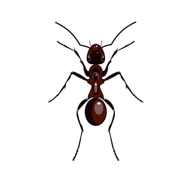 VEctor ant clipart