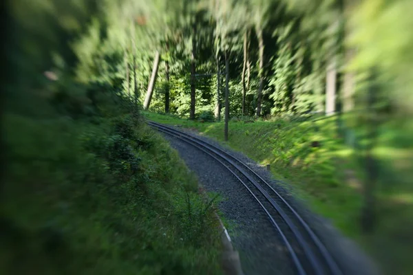 Közúti és erdő — Stock Fotó