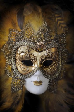 Carnival mask. Venice, Italy clipart