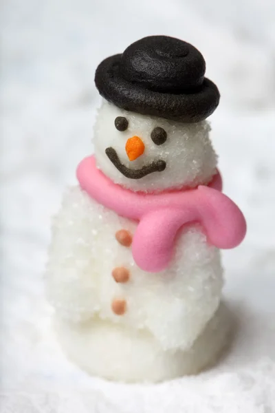 The Snow Man — Stock Photo, Image