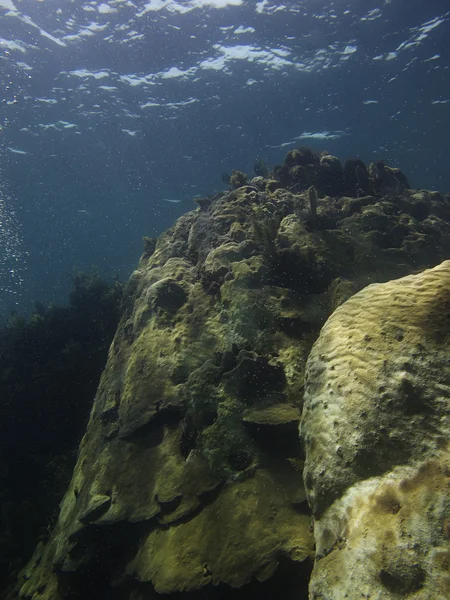 Océano roca —  Fotos de Stock
