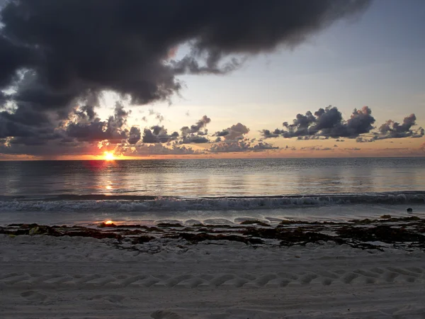 Beach soluppgång — Stockfoto