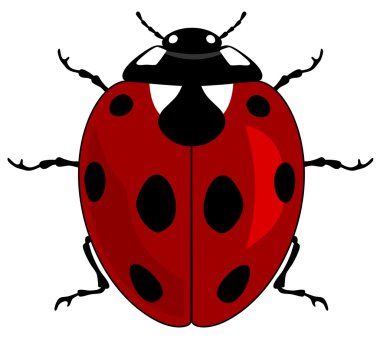 Ladybird clipart