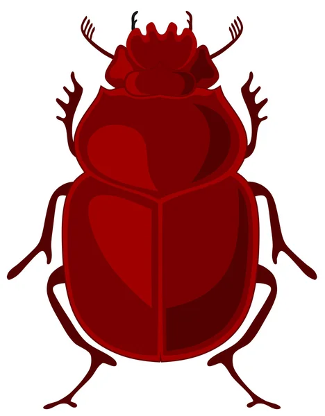 Escaravelho —  Vetores de Stock