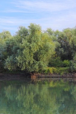 küçük nehir manzara
