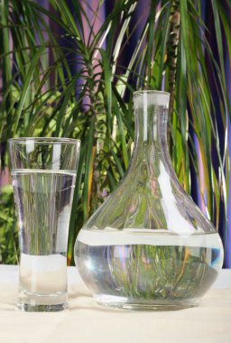 Jug and glass with water