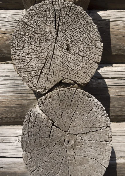 stock image Old wooden cut texture