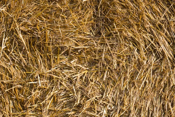 stock image Straw bales