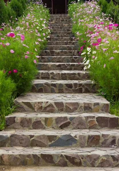 stock image Stairs with flowers