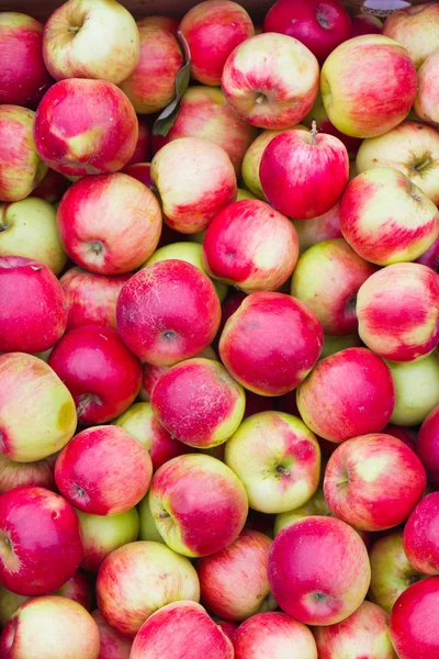 stock image Green apples