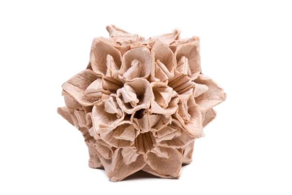 Handmade paper origami flower — Stock Photo, Image