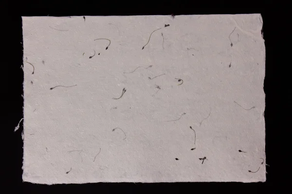 Tekstur kertas buatan tangan — Stok Foto
