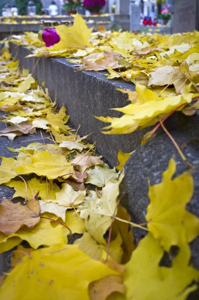 Feuilles d'automne sur le cimetière — Photo