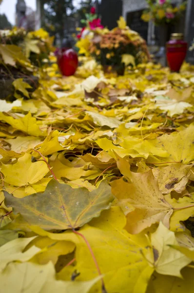 Hojas amarillas de otoño en el cementerio — Foto de Stock