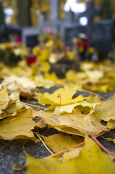 Hösten blad på kyrkogård — Stockfoto