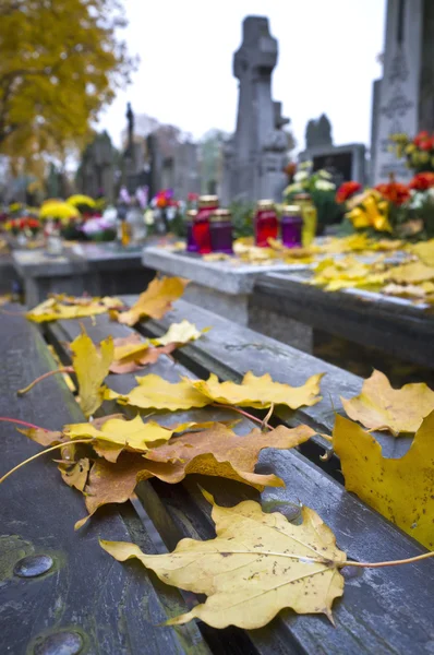 Hojas de otoño en el banco del cementerio —  Fotos de Stock