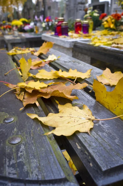 Foglie di autunno gialle sulla panchina — Foto Stock