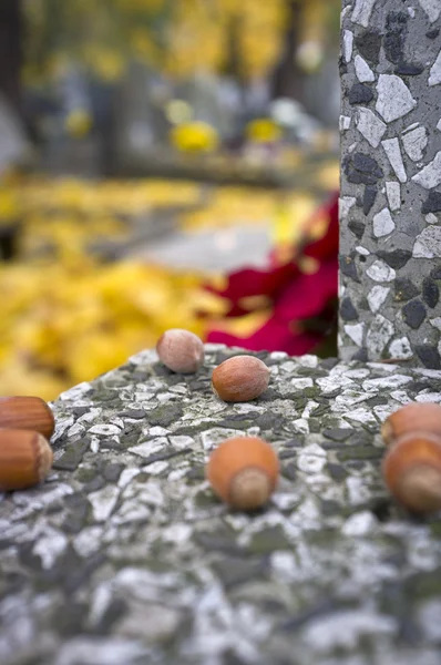 大理石のヘーゼル ナッツ — ストック写真