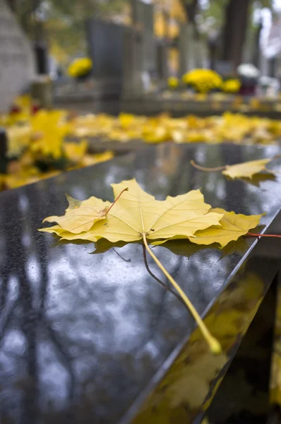 Yellow autumn leaf on marble bench — Stock Photo, Image